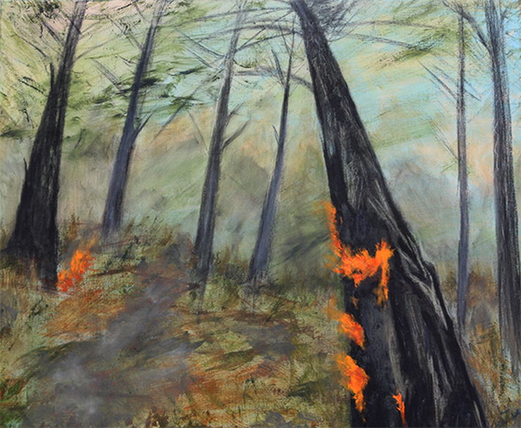 Wildfire drawings and paintings - Stephanie Peters